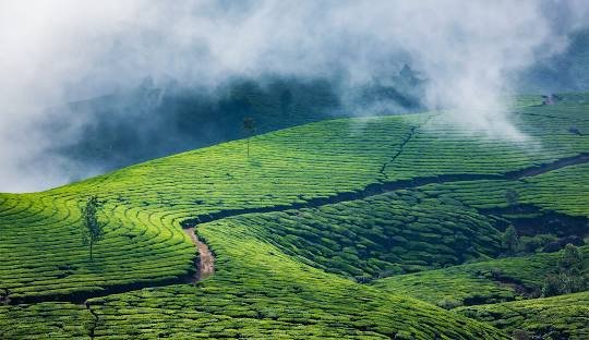Munnar